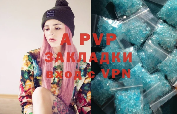 индика Белоозёрский