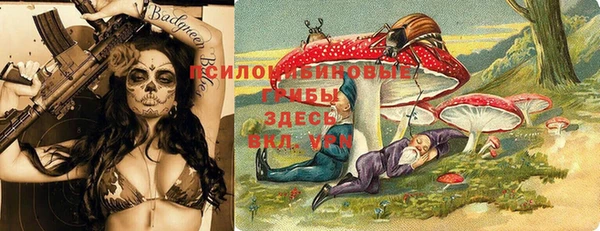 индика Баксан