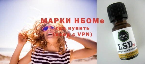 индика Баксан