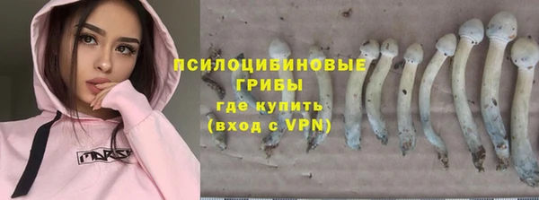прущая мука Белокуриха