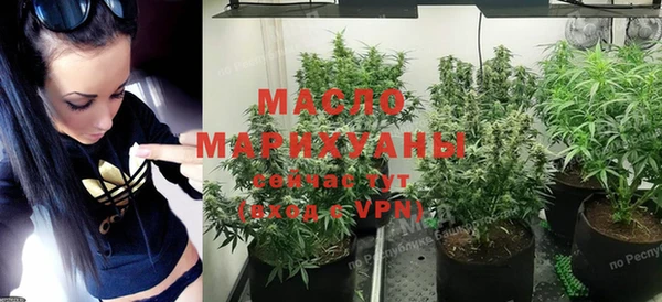 индика Баксан