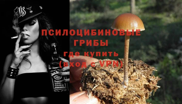 первитин Армянск