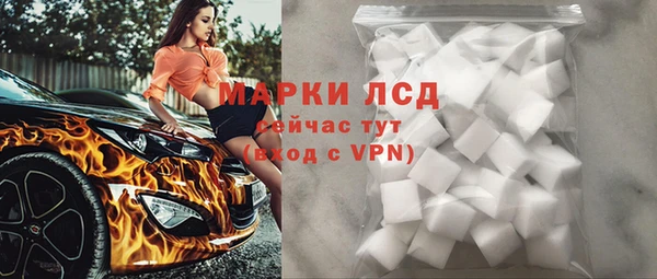 индика Баксан
