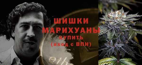 индика Белоозёрский