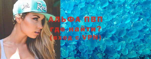 индика Богородск