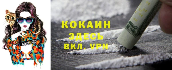 индика Белоозёрский