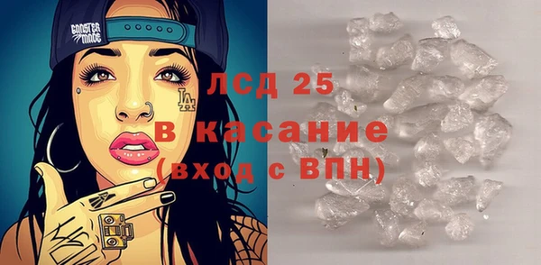 индика Белоозёрский