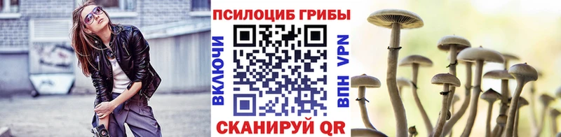 что такое   Армавир  Псилоцибиновые грибы GOLDEN TEACHER 