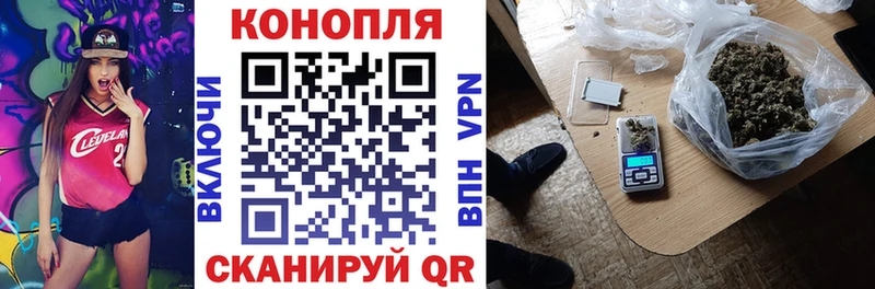 Каннабис OG Kush наркошоп Армавир